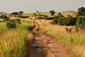 Путешествие по Кении